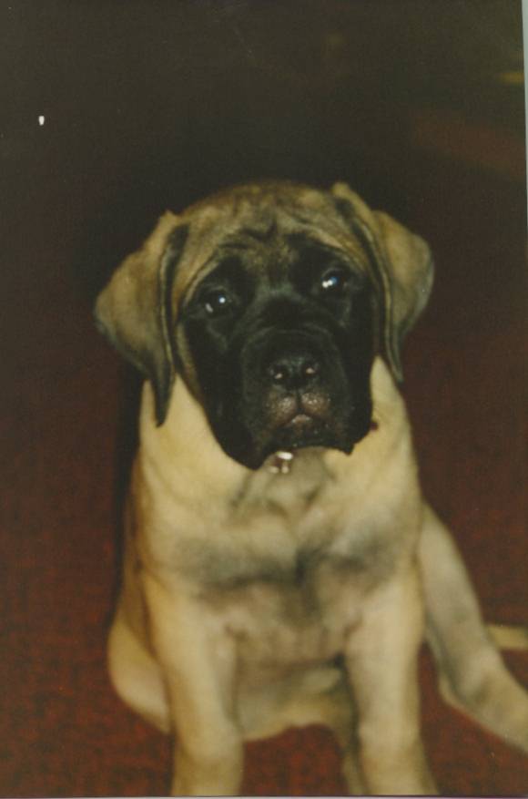 Libby at 8 weeks