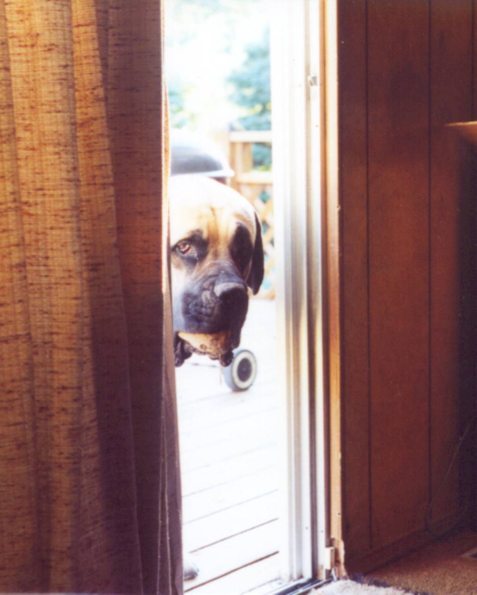 Mr. Rock almost inside